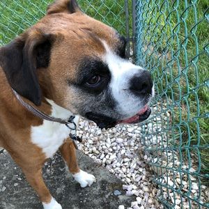 Meet your Posher, Stacy